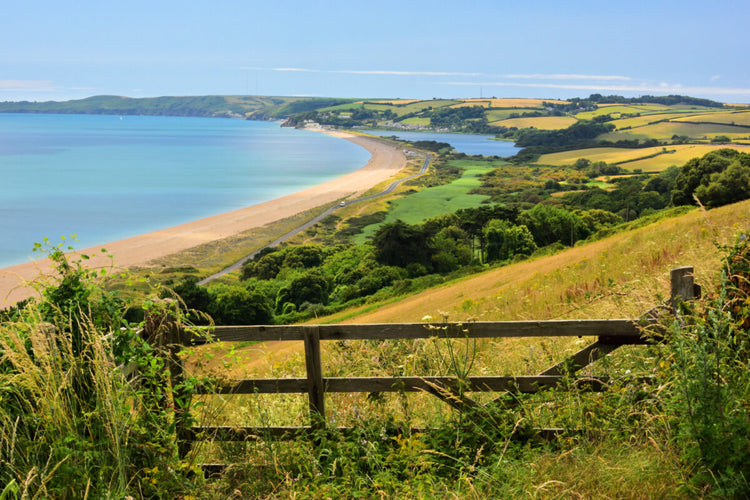 The Devon - Cream Tea