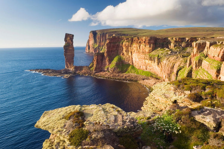 The Orkney Islands - Seaweed and Samphire