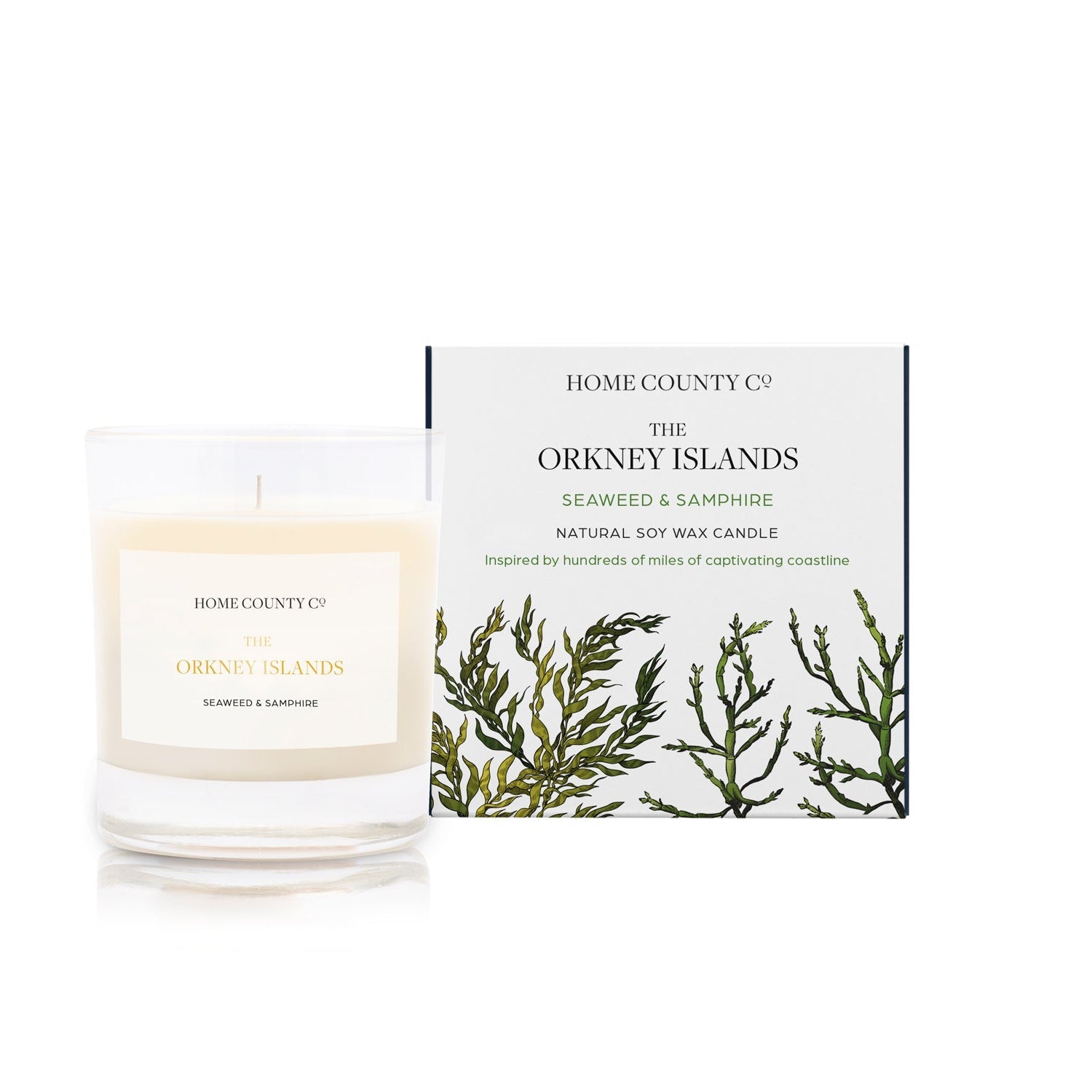 A seaweed and samphire scented candle from Home County Co. The cotton wick soy candle is shown next to the eco friendly box packaging.